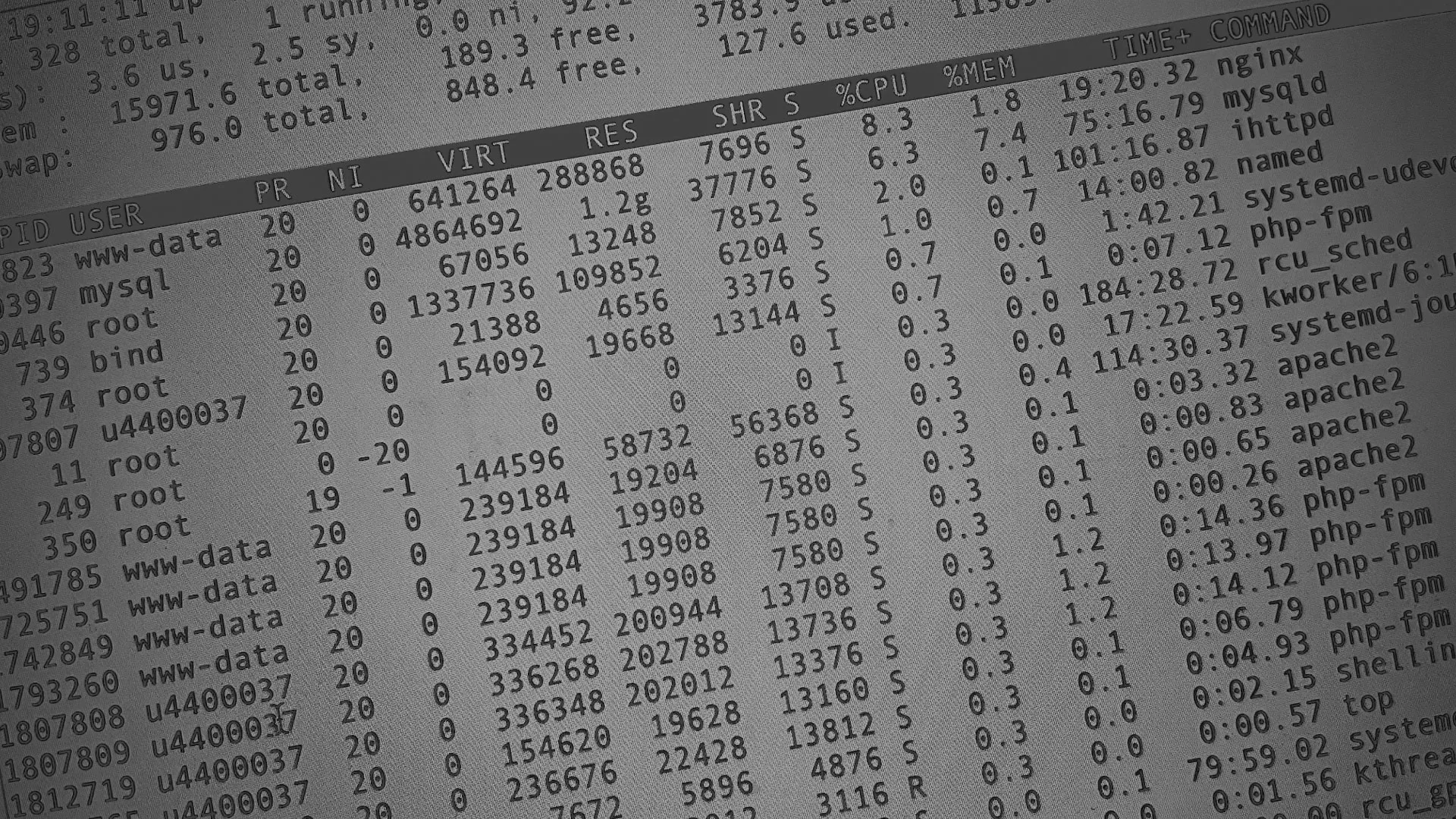 Настройка сервера в Щербинке