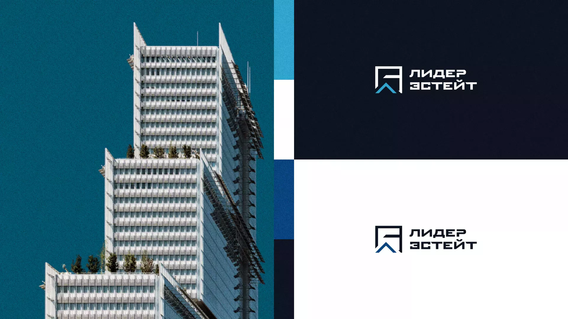 Разработка логотипа агентства недвижимости «Лидер Эстейт» в Щербинке