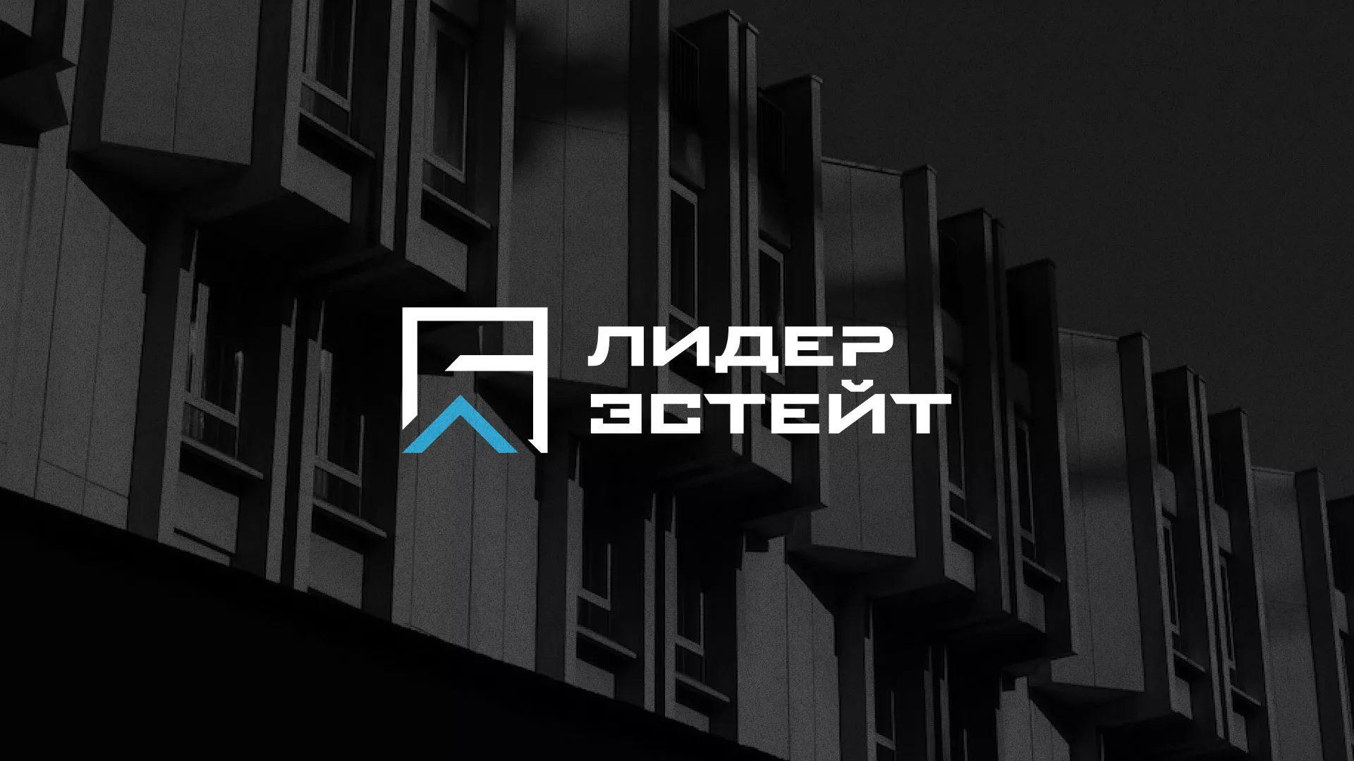 Разработка логотипа агентства недвижимости «Лидер Эстейт» в Щербинке
